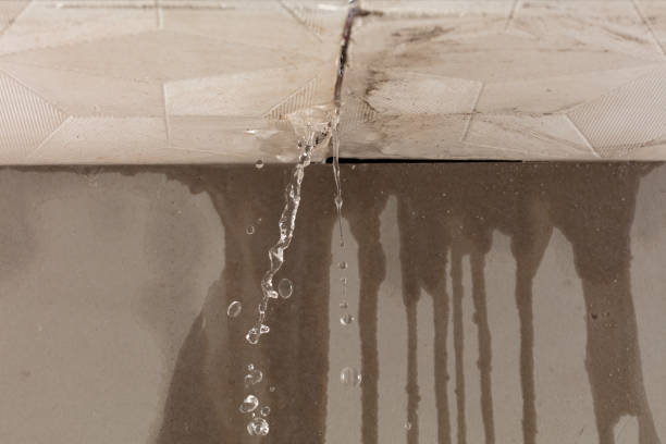 Professional Burst Pipe Cleanup technician working in Olean, MO